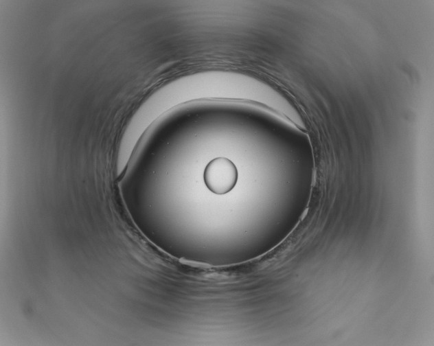 X0000111000413200907022141