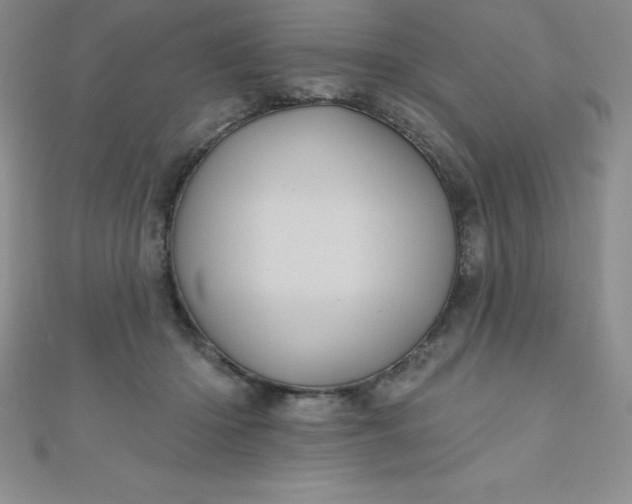 X0000111000414200907022141