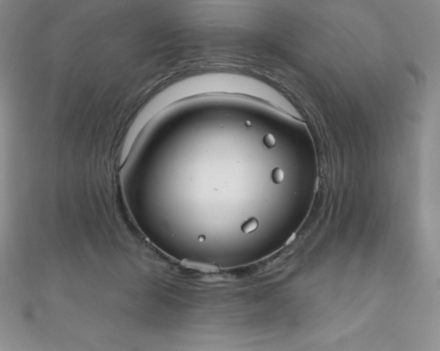 X0000111000415200907022141