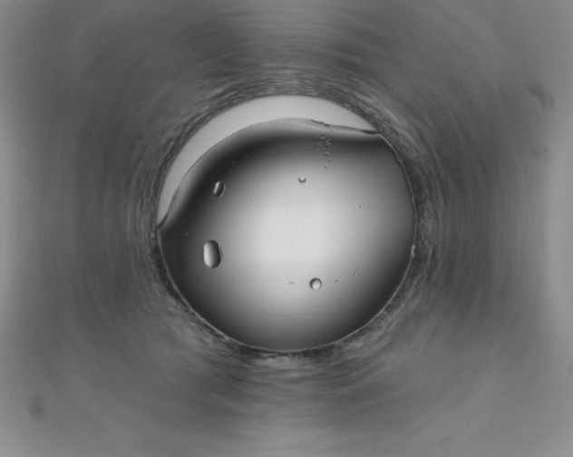 X0000111000417200907022141