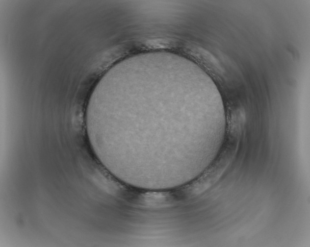 X0000111000418200907022141