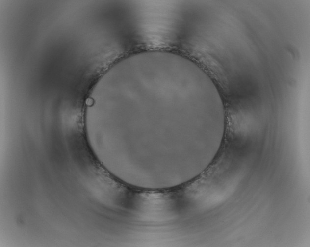 X0000111000419200907022141