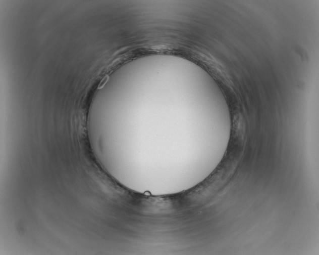 X0000111000421200907022141