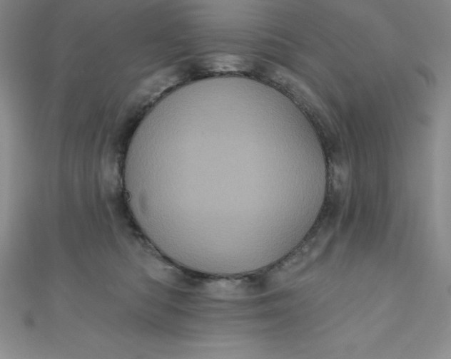 X0000111000422200907022141