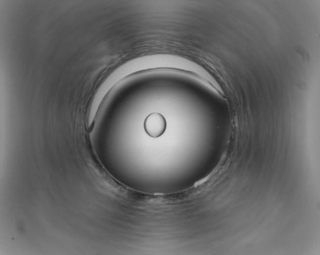 X0000111000423200907022141