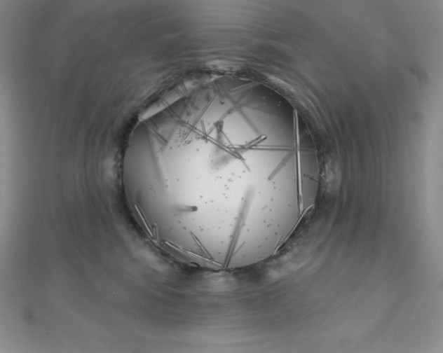 X0000111000424200907022141