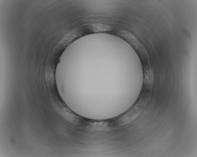 X0000111000426200907022141