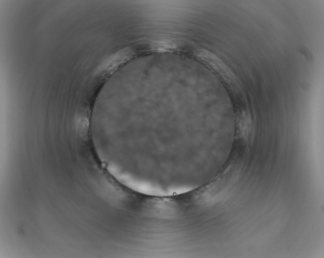 X0000111000427200907022141