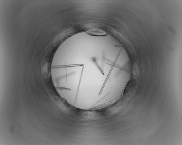 X0000111000428200907022141