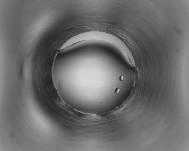 X0000111000429200907022141