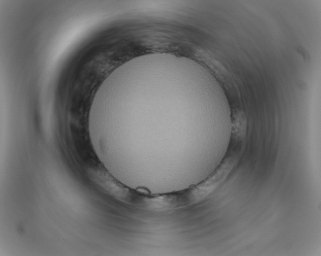 X0000111000430200907022141