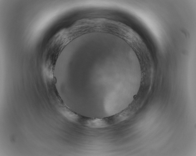 X0000111000431200907022141