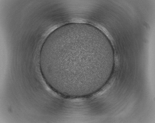 X0000111000433200907022140