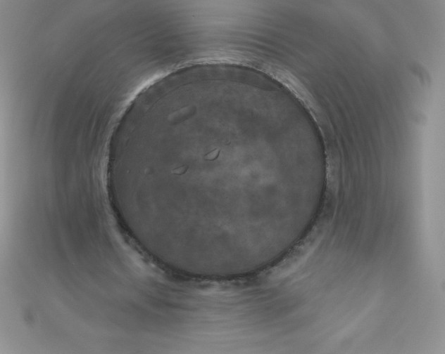 X0000111000434200907022140