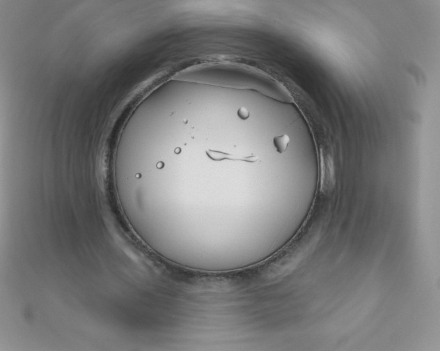 X0000111000435200907022140