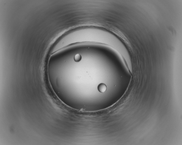 X0000111000436200907022140