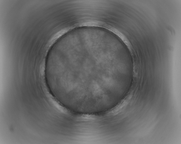 X0000111000437200907022140