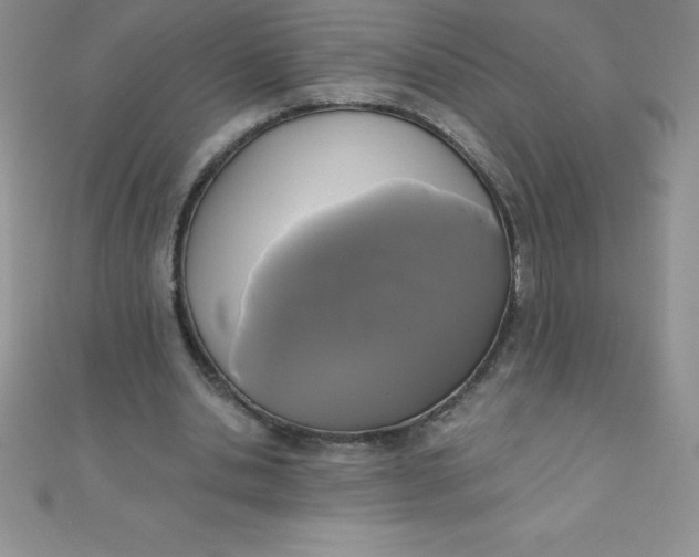 X0000111000438200907022140