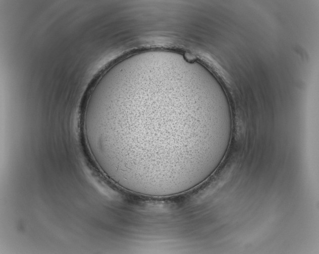 X0000111000439200907022140