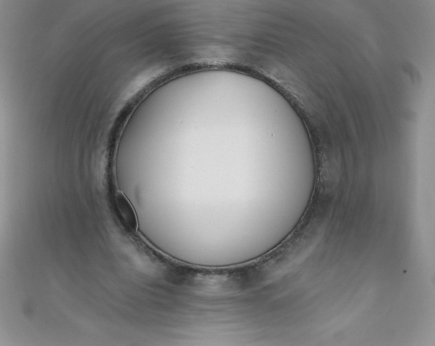 X0000111000440200907022140