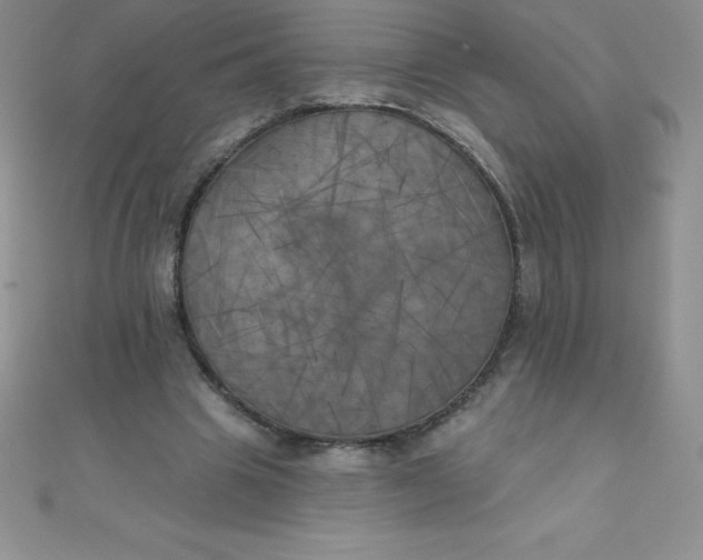 X0000111000441200907022140