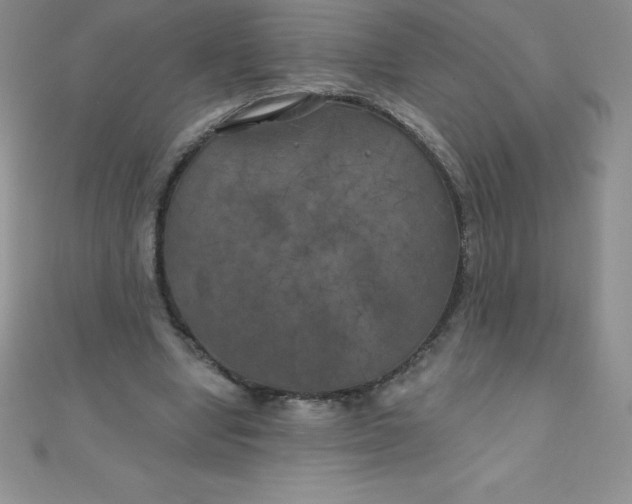 X0000111000442200907022140