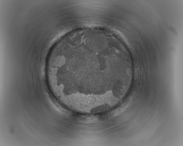 X0000111000443200907022140