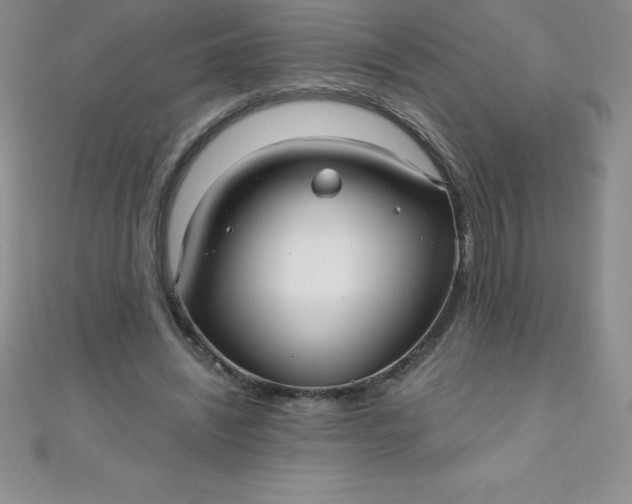 X0000111000444200907022140