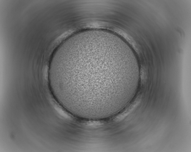 X0000111000445200907022140