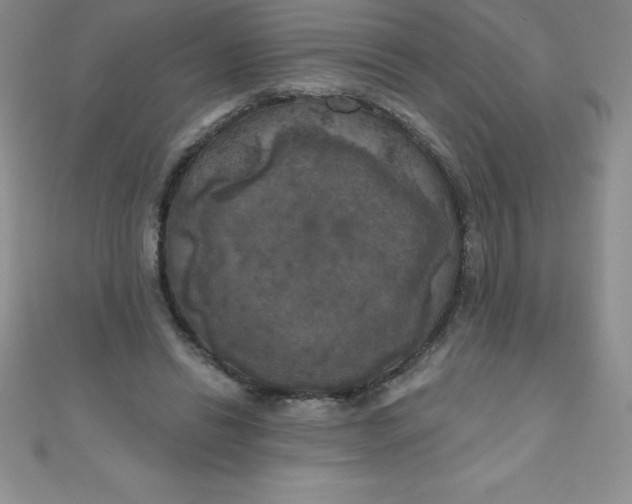 X0000111000446200907022140