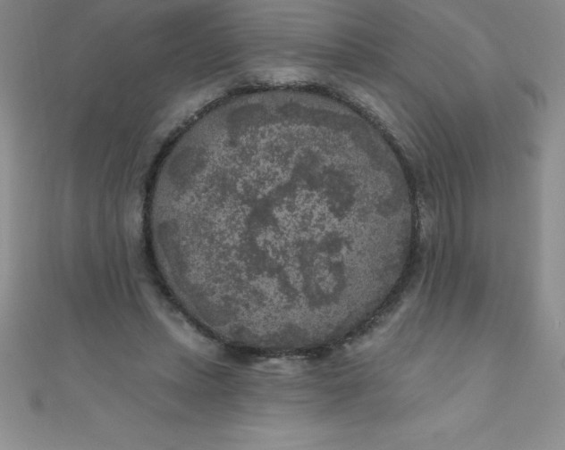 X0000111000447200907022140