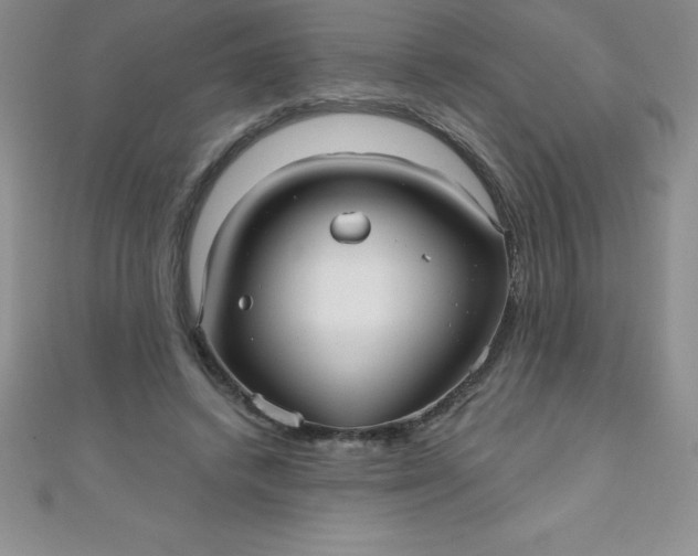 X0000111000448200907022140