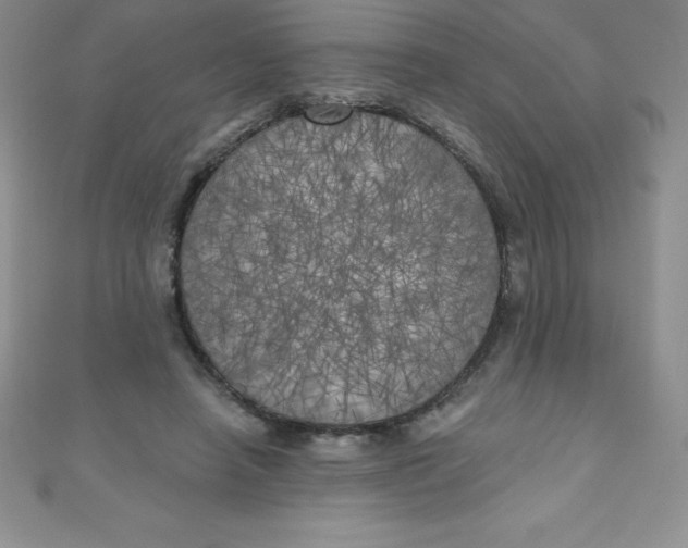 X0000111000450200907022140