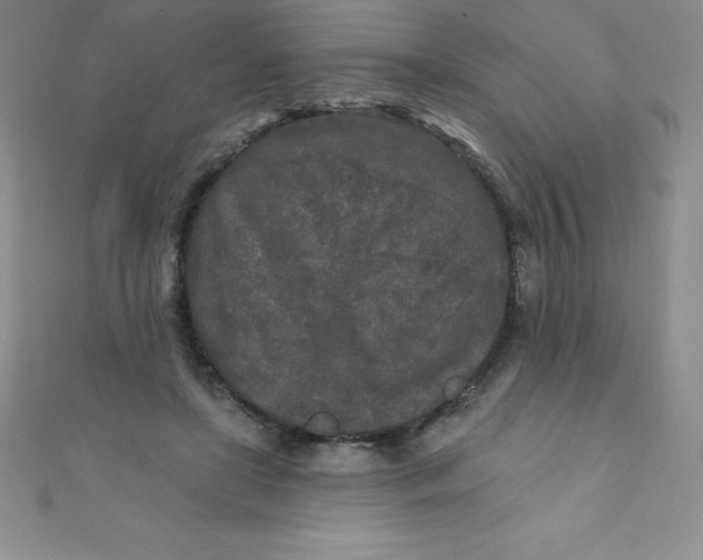 X0000111000451200907022140