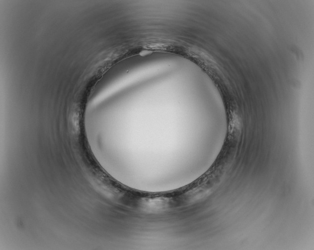 X0000111000452200907022140