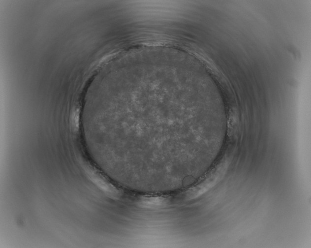 X0000111000454200907022140