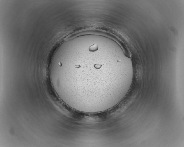 X0000111000455200907022140