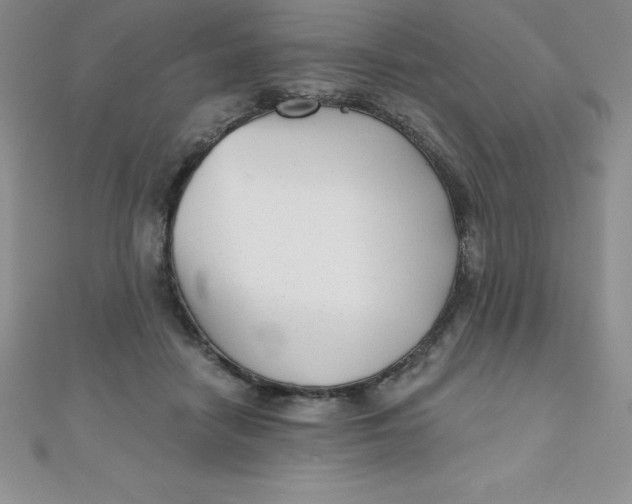 X0000111000458200907022140