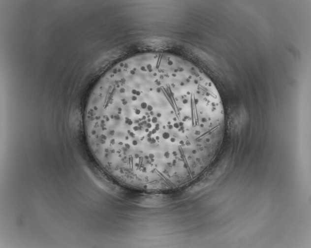 X0000111000459200907022140