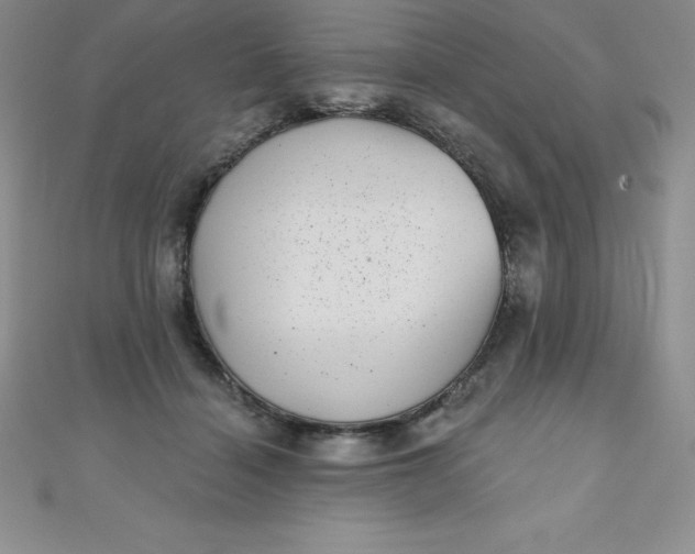 X0000111000460200907022140