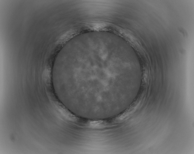 X0000111000461200907022140