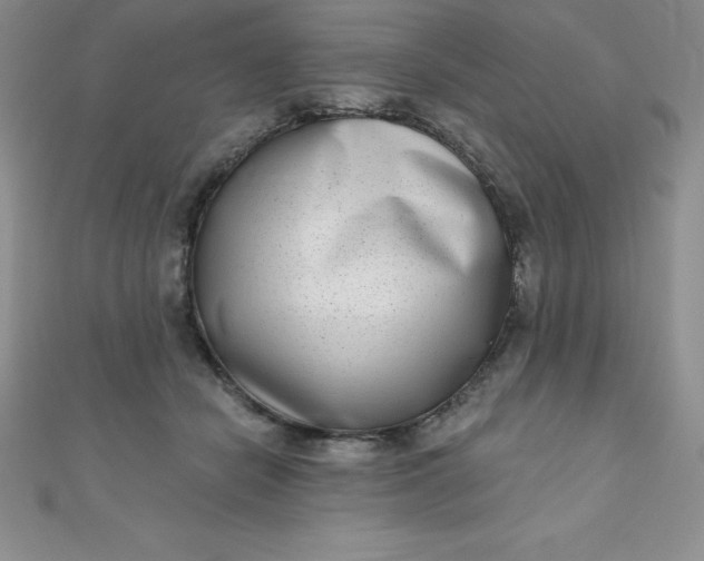 X0000111000462200907022140