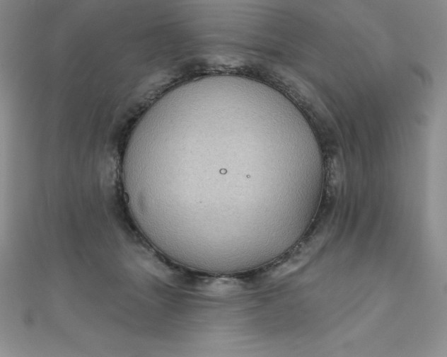 X0000111000463200907022140