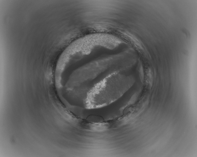 X0000111000465200907022140