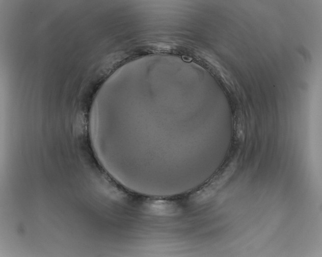 X0000111000467200907022140