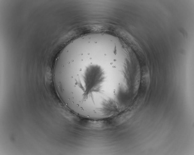 X0000111000469200907022141