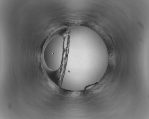 X0000111000474200907022141