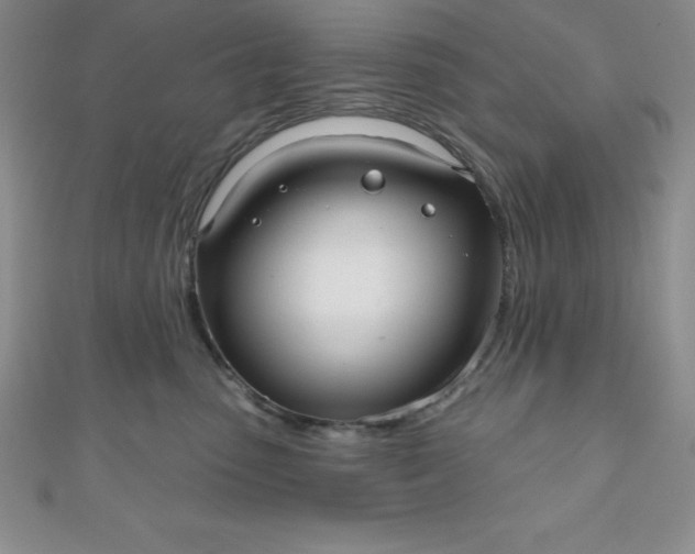 X0000111000475200907022141