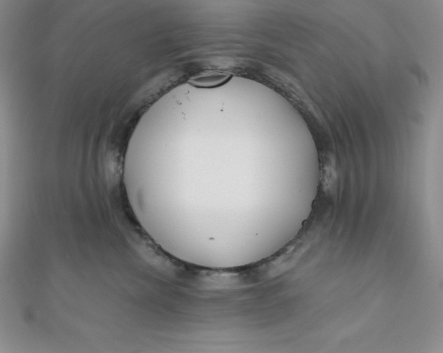 X0000111000476200907022141