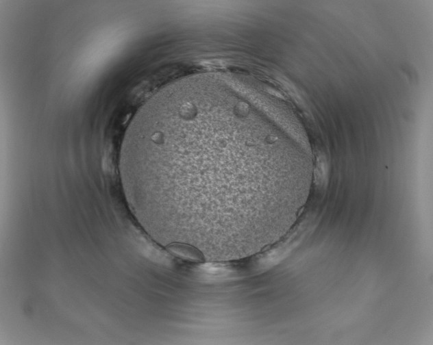 X0000111000477200907022141